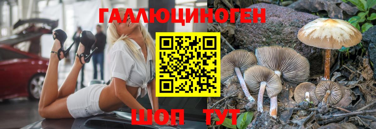 Галлюциногенные грибы Magic Shrooms  Вход с VPN  Ступино 